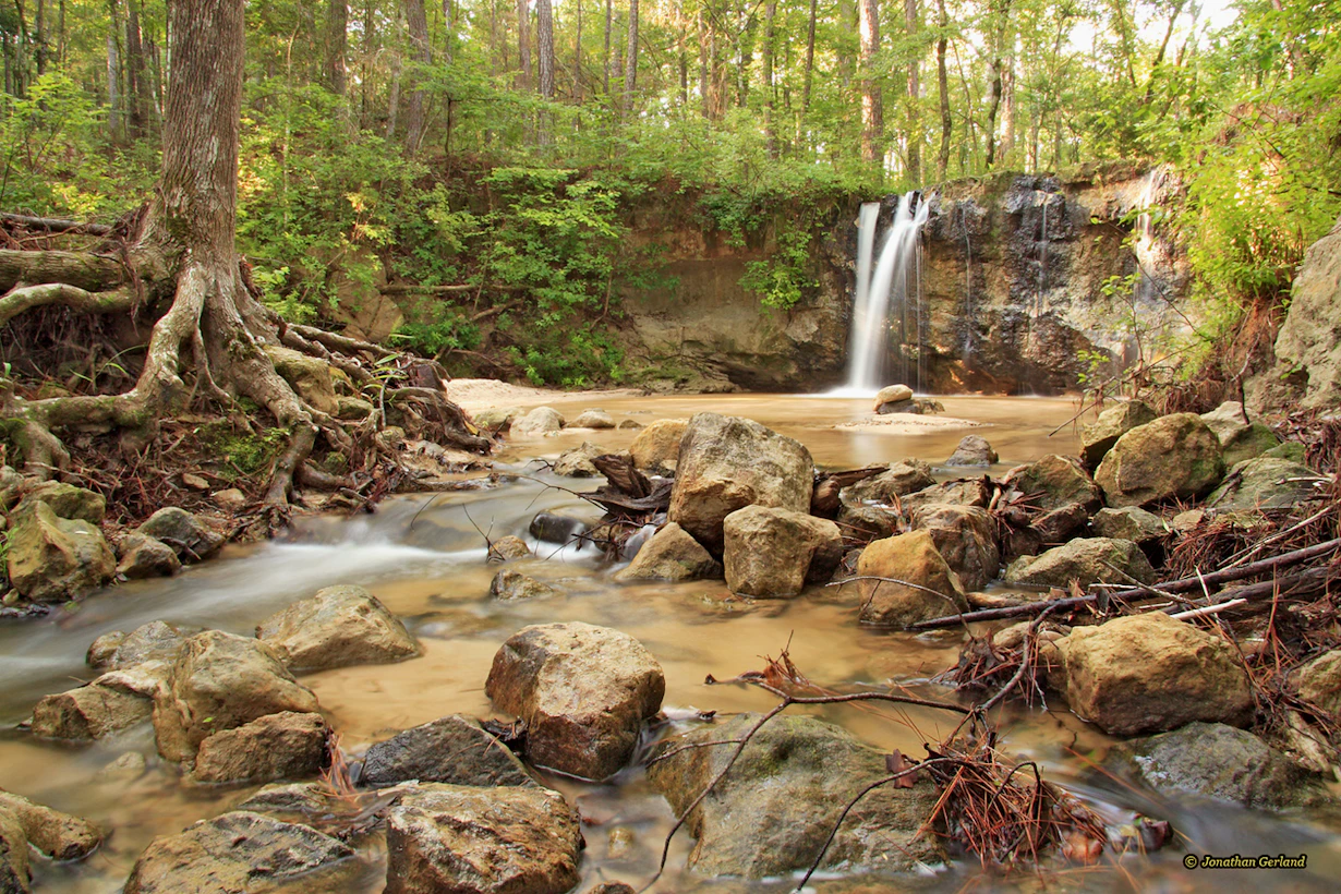 In Forest Land: Special Places in the East Texas Pineywoods