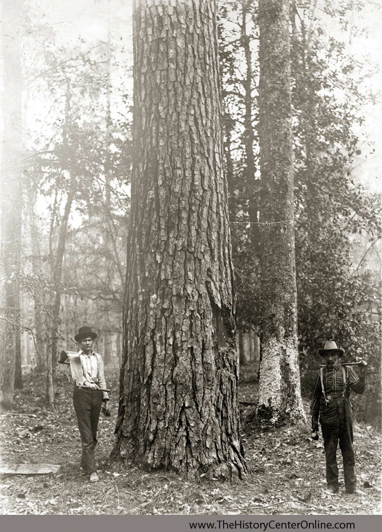 American Lumberman Photograph Exhibit