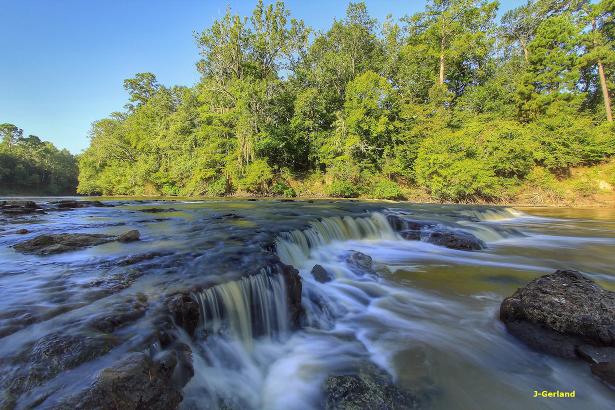In Forest Land: Special Places in the East Texas Pineywoods