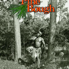  2020 Pine Bough Online